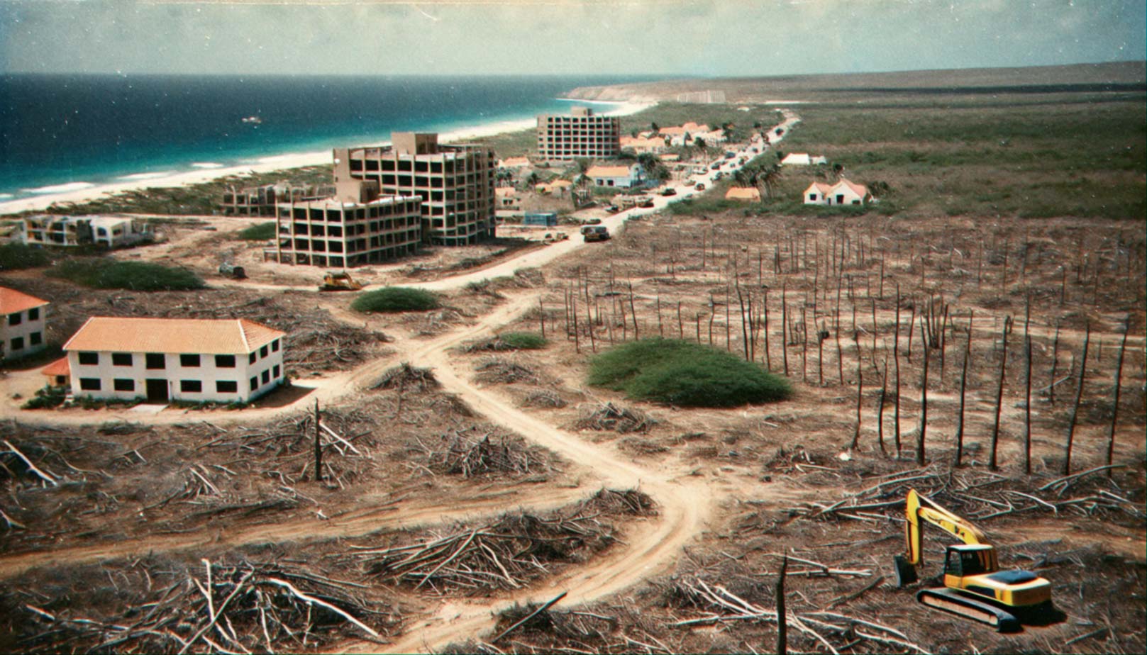 Article – Miljoenen bomen op Aruba?